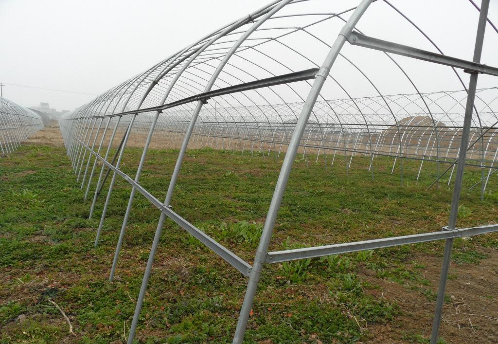 溫室拱棚 溫室拱棚