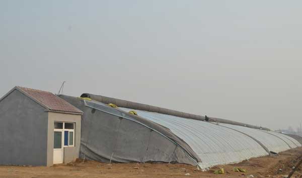 溫室暖棚圖片 溫室暖棚圖片