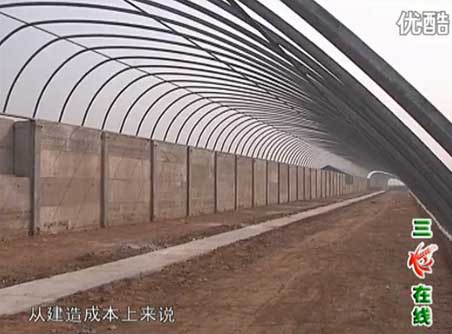 可移動(dòng)裝配式日光溫室大棚-新型溫室大棚