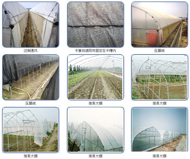 固定大棚薄膜，簡(jiǎn)易大棚安裝完成
