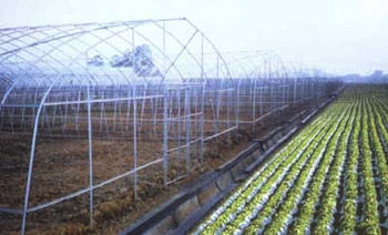 農(nóng)用簡易大棚安裝