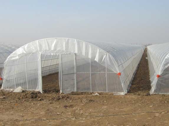 農(nóng)用簡易大棚