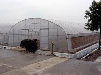 農(nóng)用簡易大棚圖片