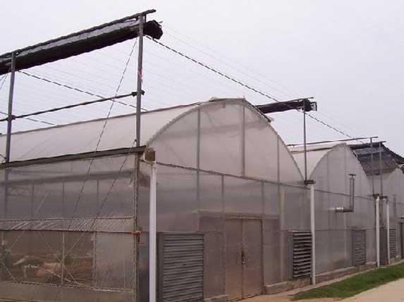 簡易連棟大棚圖片 簡易連棟大棚圖片