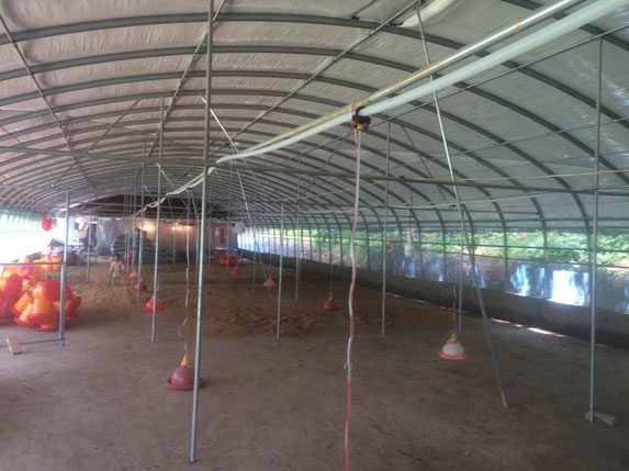 2016新式蛋雞養(yǎng)殖大棚高清圖片 2016新式蛋雞養(yǎng)殖大棚高清圖片