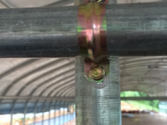 2016新式蛋雞養(yǎng)殖大棚 2016新式蛋雞養(yǎng)殖大棚