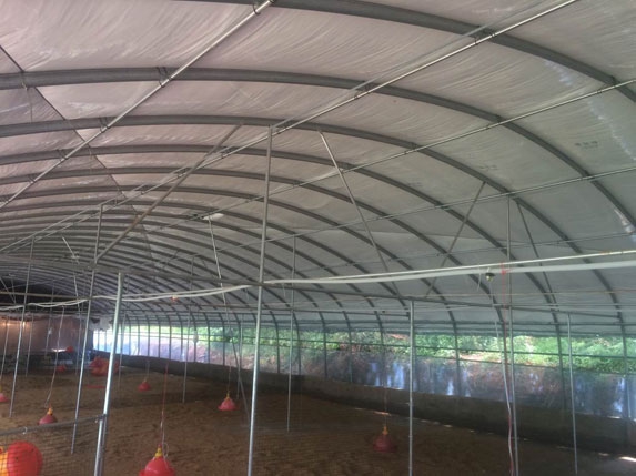 2016新式蛋雞養(yǎng)殖大棚高清圖片2 2016新式蛋雞養(yǎng)殖大棚高清圖片2