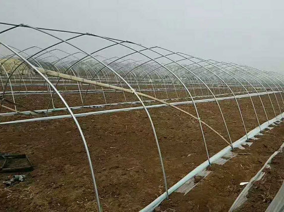 6米管簡體大棚(6分大棚管)圖片 6米管簡體大棚(6分大棚管)圖片