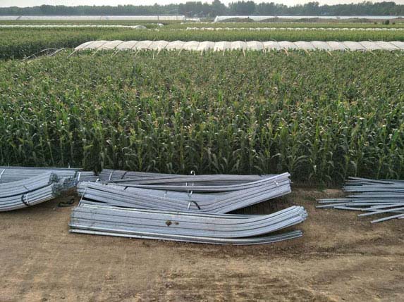 橢圓大棚骨架圖片 橢圓大棚骨架圖片