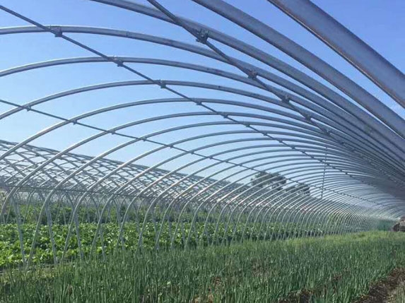 橢圓大棚管實(shí)際安裝效果圖 橢圓大棚管實(shí)際安裝效果圖