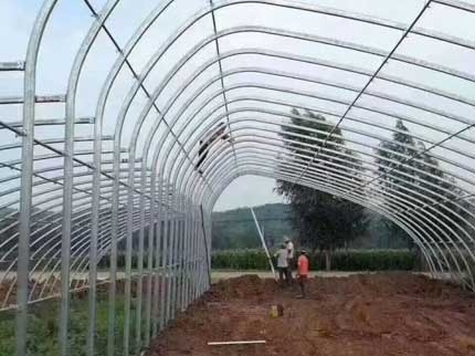 橢圓管陰陽棚圖片 橢圓管陰陽棚圖片