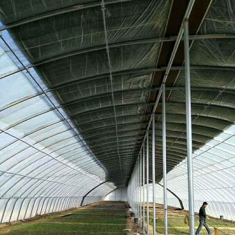 橢圓管大棚高清圖片 橢圓管大棚高清圖片