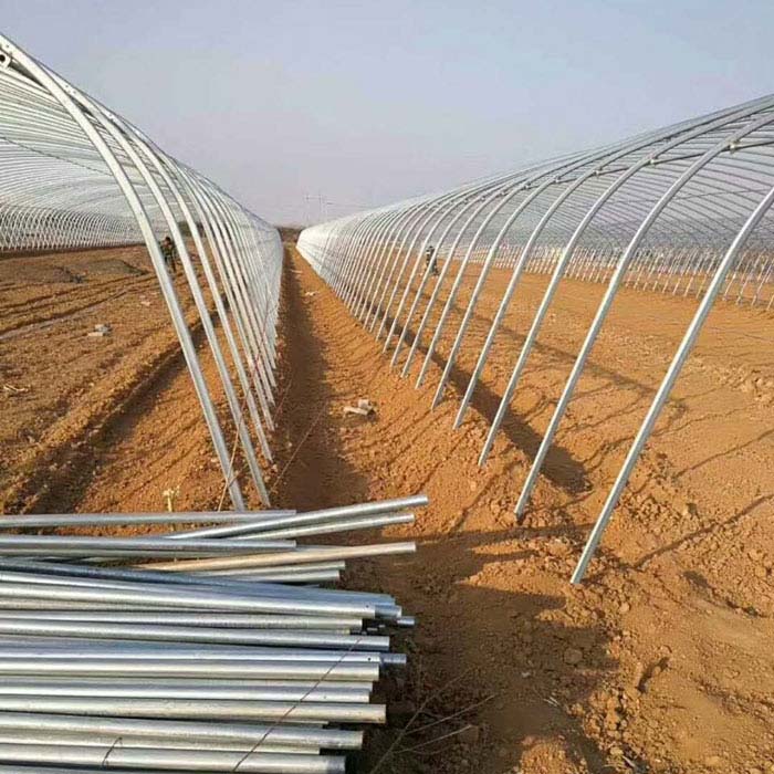 橢圓管大棚高清圖片之拱管 橢圓管大棚高清圖片之拱管