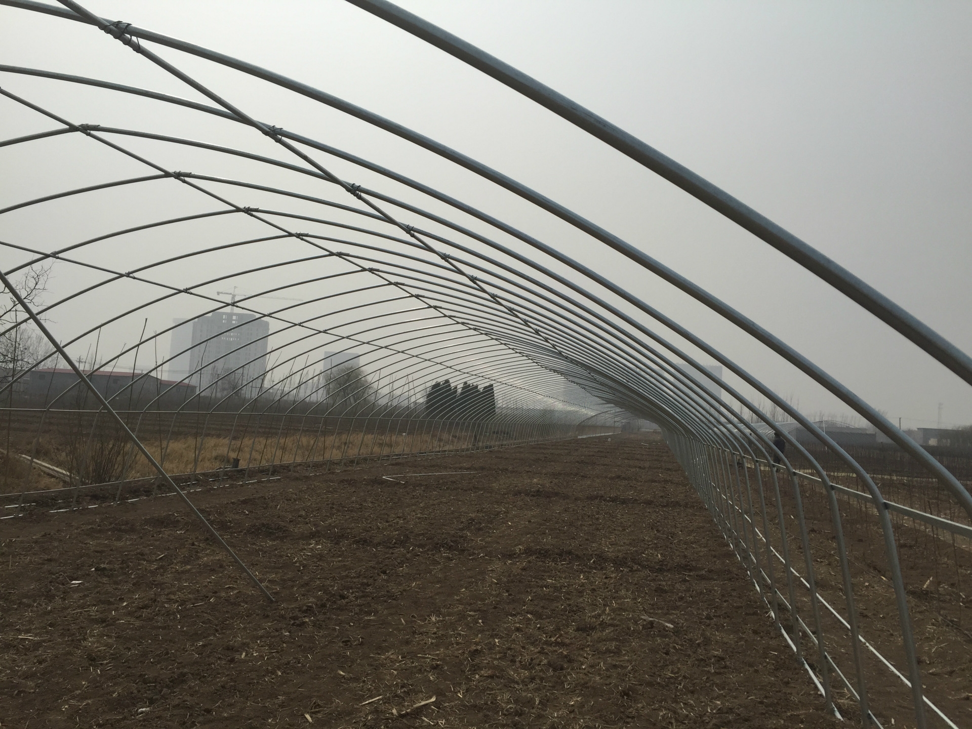 溫室大棚鋼管圖片 溫室大棚鋼管圖片