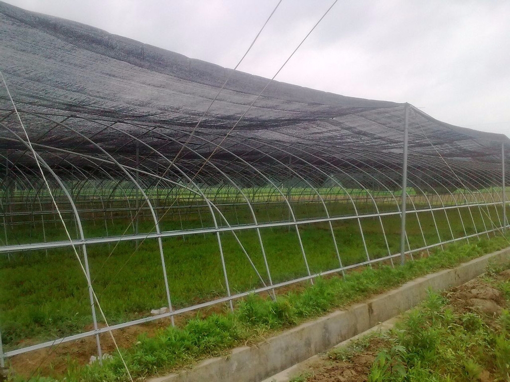 溫室大棚鋼管圖片 溫室大棚鋼管圖片